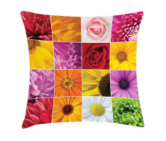 Colorful Flowers Rose Pillow Cover