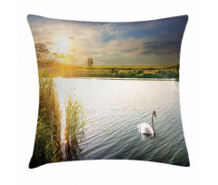 Swan in River at Dawn Photo Pillow Cover