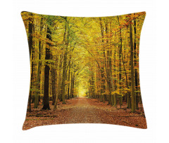 Pathway into the Forest Pillow Cover