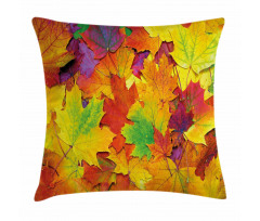 Colorful Maple Leaves Pillow Cover