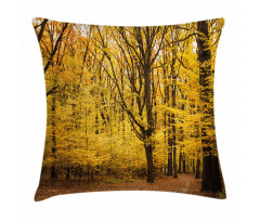 Autumn in Nature Theme Pillow Cover