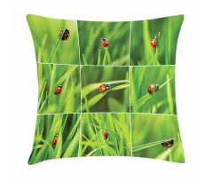 Ladybug over Fresh Grass Pillow Cover