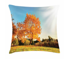 Maple Tree in Autumn Pillow Cover