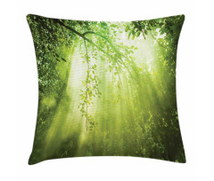 Sunbeams in Woodland Pillow Cover