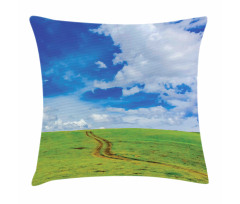 Path in Meadow Rural Pillow Cover