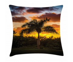 Exotic Tree at Sunset Pillow Cover