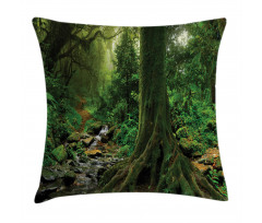 Moss on Trees Stream Pillow Cover