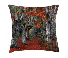 Beech Forest Autumn Pillow Cover