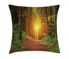 Pathway to Timberland Pillow Cover
