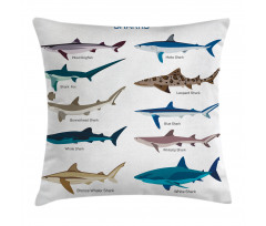 Cartoon Shark Types Wild Pillow Cover