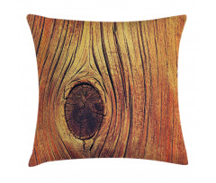 Aged Wooden Texture Pillow Cover