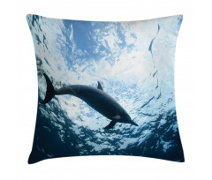 Swimming Dolphin Pillow Cover