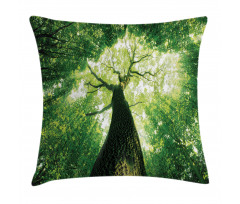 Summer Rays in Wild Pillow Cover