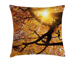 Sun in October Harvest Pillow Cover