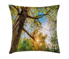 Vibrant Summer Sky Pillow Cover