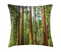 Braches in Spring Pillow Cover