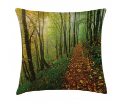 Forest Path View Pillow Cover
