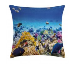 Ocean Corals Goldfish Pillow Cover