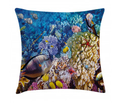 Ocean Beauties Pillow Cover