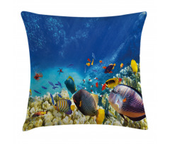 Ocean Animals Pillow Cover