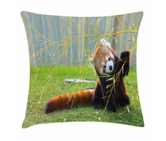 Panda Pillow Cover