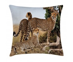 Safari Animal Cheetahs Pillow Cover
