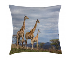 Giraffe Family Pillow Cover