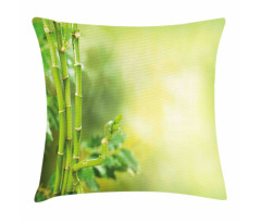 Bamboos Green Trees Pillow Cover