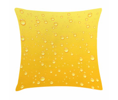 Ombre Like Beer Glass Pillow Cover