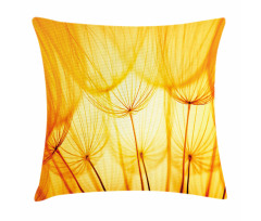 Dandelion Summer Garden Pillow Cover