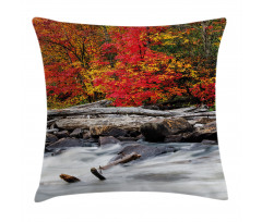 Fall Forest Driftwood Pillow Cover