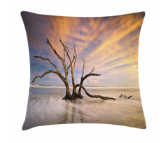 Dead Tree Sun Driftwood Pillow Cover