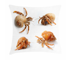 Hermit Crabs Pattern Pillow Cover