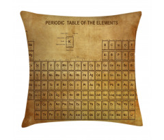 Vintage Chemistry Table Pillow Cover