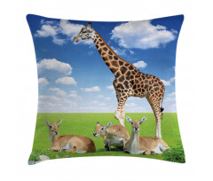Zoo Animals Pillow Cover