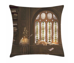 Medieval Library Cat Pillow Cover