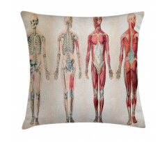 Anatomy Human Body Pillow Cover