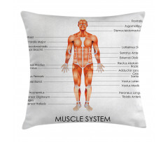 Biology Muscle System Pillow Cover