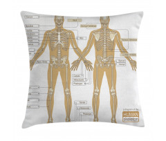 Human Skeleton System Pillow Cover