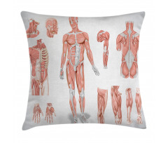 Biology Human Medical Pillow Cover
