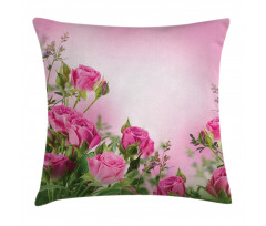 Spring Season Roses Buds Pillow Cover