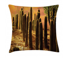 Sunset in Wild Desert Pillow Cover