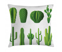 Hot Mexican Desert Pillow Cover