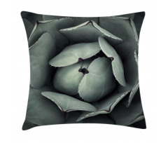 Flourishing Grey Cactus Pillow Cover