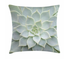 Cactus Flowers Photo Pillow Cover
