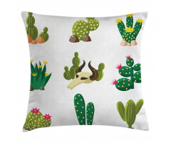 Mexican South Desert Pillow Cover