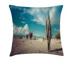 Sunny Hot Desert Plant Pillow Cover