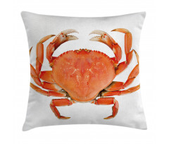 Cooked Dungeness Crab Pillow Cover