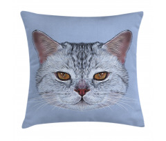 Scottish Hipster Kitty Pet Pillow Cover