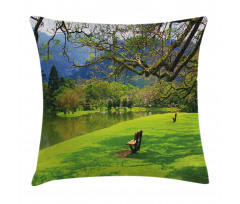 Panoramic Public Wiev Pillow Cover